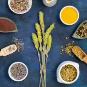 top-view-organic-medicinal-spices-herbs